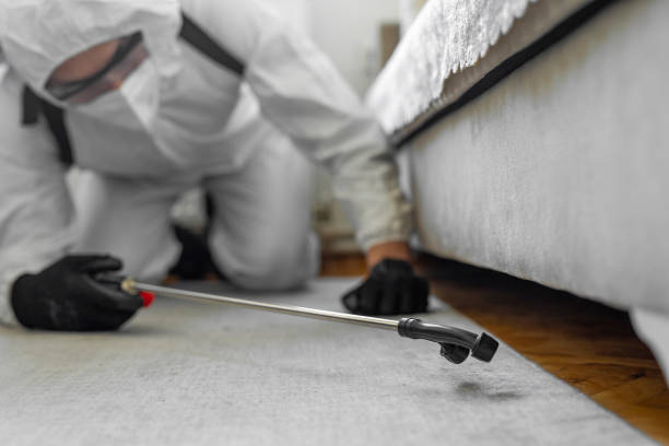 Professional Termite Control technician working in Valley, AL
