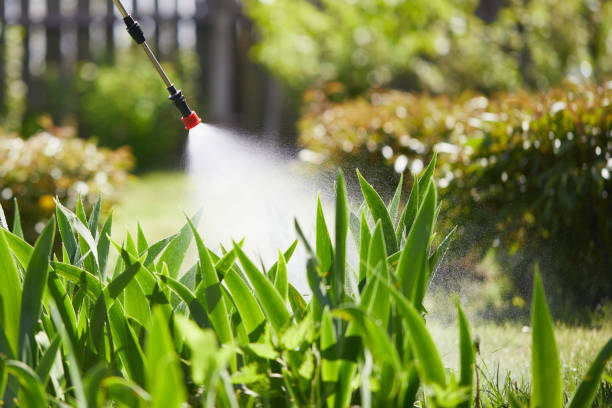 24/7 Emergency Termite Control experts in Valley, AL